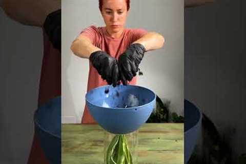 Gardening ideas for home flowers 🌸
