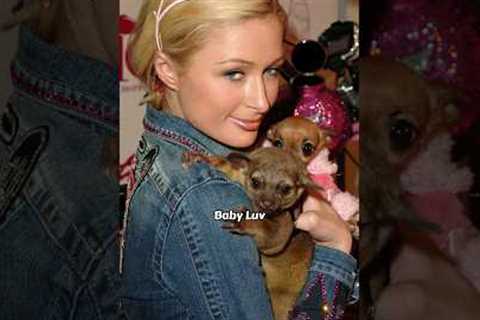 CELEBRITIES WHO HAVE EXOTIC PETS #shorts