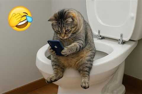 You Laugh, You Lose! 🤣 Funny Cat Videos 2026 😹 Part 140