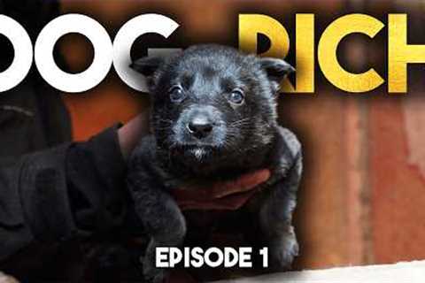 Dog Rich “Cash is King” - Episode 1