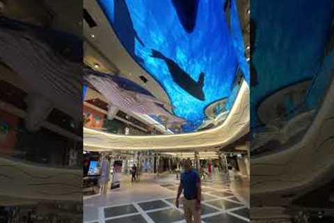 Experience the magic of MSC World Europa’s World Galleria 🐋✨