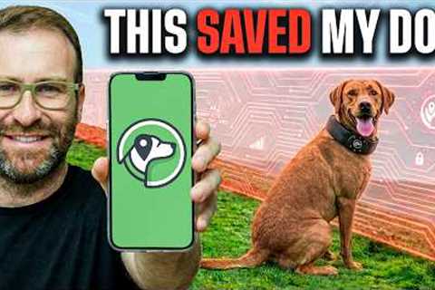 Best Invisible Dog Fence? The Answer Might Surprise You
