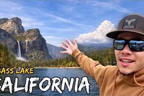 5 Days Hunting and Fishing Bass Lake! Catch and Cook