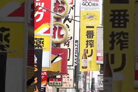 How to Learn the Japanese Language #japan #travel #japanculture #language