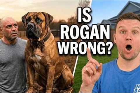 I Can't Believe Joe Rogan Said THIS About My Dog 🤯
