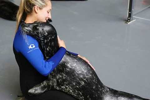 Animal-Human Friendships That Show What True Love & Loyalty Are All About
