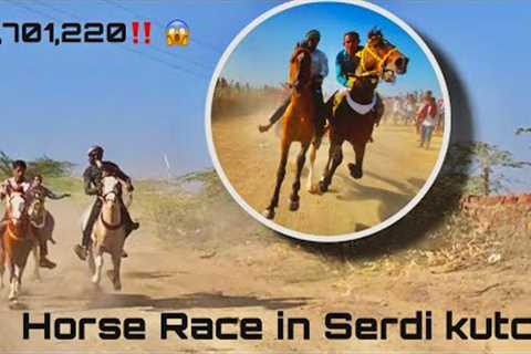 Horse Race in Serdi patti kutch / kutch horse race 🏇 #horse #horserace 