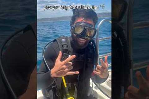 Fun fact I’m a certified scuba diver who hasn’t done this in 7 years