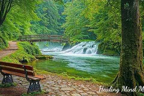 Music Therapy 🌿 Relaxing Music to Reduce Stress, Stop Overthinking, Calming Music, Deep Sleep