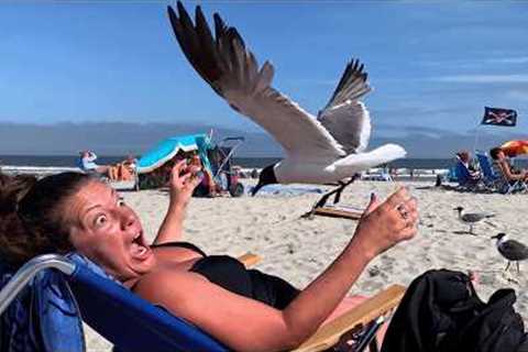 POV: Did That Really Just Happen?! | Funniest Fails