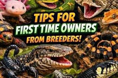 Thinking About Exotic Pets? Watch This FIRST!