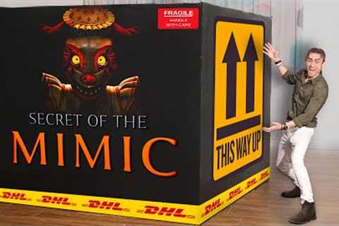 Unboxing A Giant Secret Of The Mimic Mystery Box
