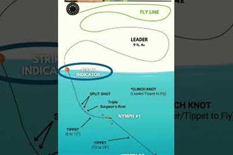 Most Trout Are Caught This Way (Fly Fishing)