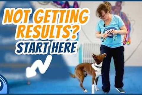 Don't Train Your Dog ... Until You Do THIS!