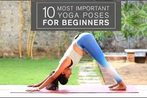 Beginners Yoga Series: 10 Most Important Yoga Poses for Beginners