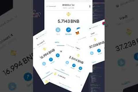BNB FLASHLOAN | PancakeSwap FRONT RUN BOT Crypto Bot Sniper Bot Profits.