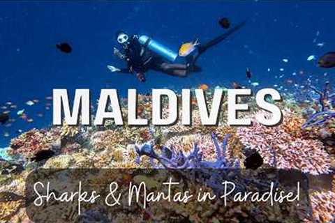 The Maldives: A Luxury Diving Experience Like No Other