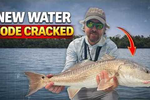 How To Catch An Inshore Slam In New Waters (Cape Coral Edition)