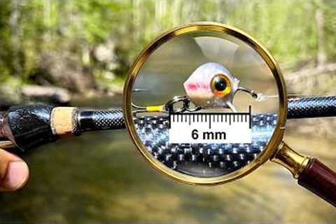 Can Fish Even See These Lures?
