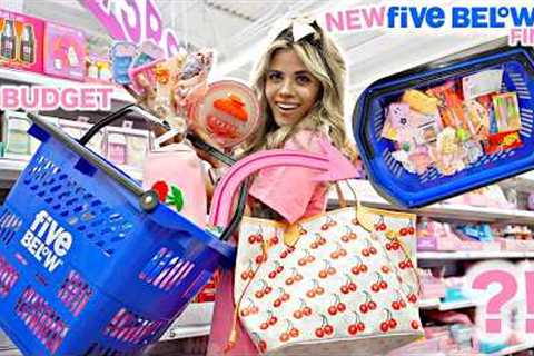NO BUDGET Five Below Shopping Spree! 🛍️ New Finds &amp; Must-Haves