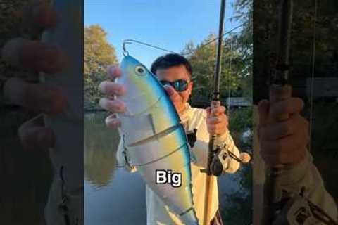 World’s Most REALISTIC But RIDICULOUS Bait EVER…
