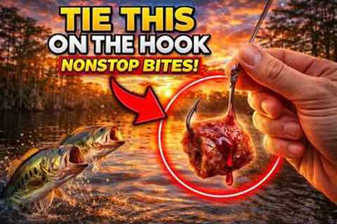 Tie This On The Hook Like This And Fish Won’t Stop Biting — Championship Technique In The South