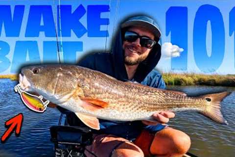Saltwater Wakebait Fishing 101: Catch MORE FISH With These Tips! *IN-DEPTH WALKTHROUGH*