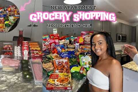 NEW Apartment Grocery Shopping | Fridge Organization | Grocery  Haul | ASMR Fridge Restock
