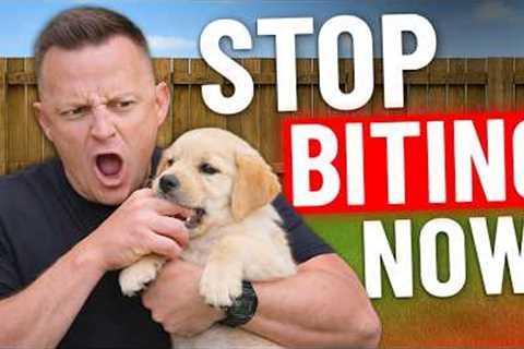How to STOP Puppy Biting In SECONDS!