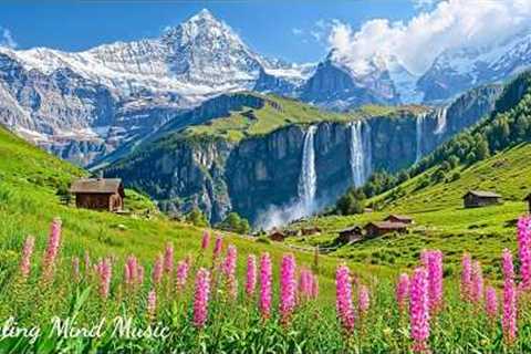 Soothing Music Helps Reduce Stress 🌿 Gentle Piano Melodies Help Relax and Stop Overthinking