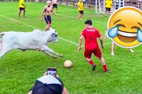 FUNNY FOOTBALL VIDEOS, SKILLS &amp; GOALS #59