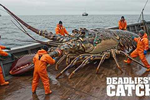 Fishing Documentary| How Raising 2 Million Fish in Floating Cages Feeds a $1 Billion Global Industry