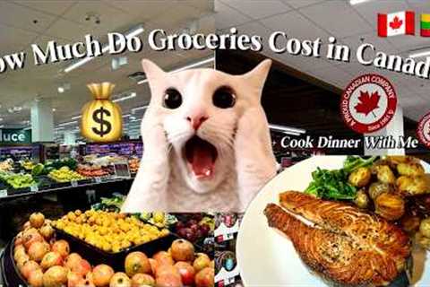 Grocery Shopping in Canada 🇨🇦 | How Much Do Groceries Cost in Toronto?