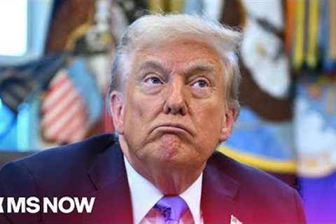 Crypto, The Trump Con and The Golden Age of Scams with Ben McKenzie &amp; Chris Hayes