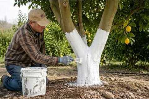 3 Proven Ways to Stop Ants, Snails &amp; Garden Pests (Fast &amp; Naturally!)
