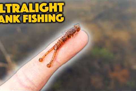 The LITTLE Details Can Make A BIG Difference! (Ultralight Fishing)
