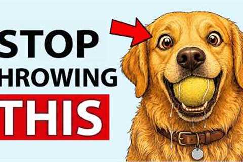 The Right Way to Play With Your Dog (Most Owners Do It Wrong)