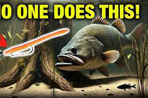 The Old School Bait That Still Crushes Bass (Floating Worm)