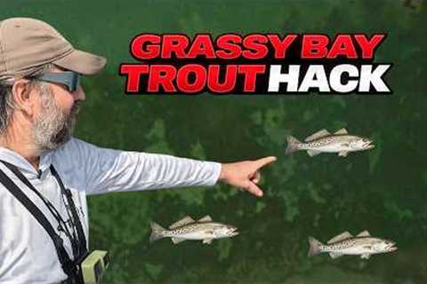 EASIEST Way To Catch Sea Trout In A Grassy Bay