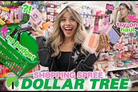 SUMMER LUXURY DUPES! 💖 Dollar Tree No Budget Shopping Spree ✨ New Girly Finds 2026