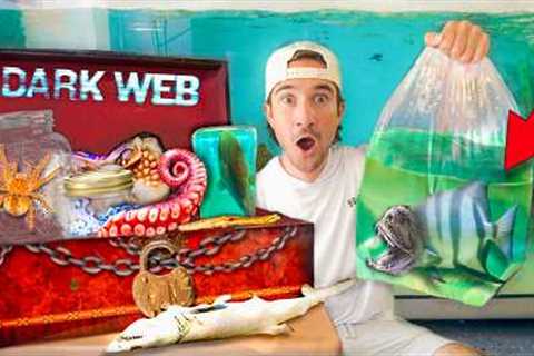 Ordering HAUNTED LIVE FISH Box Off The DARK WEB...