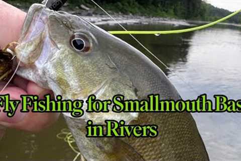 Fly Fishing for Smallmouth Bass in Rivers