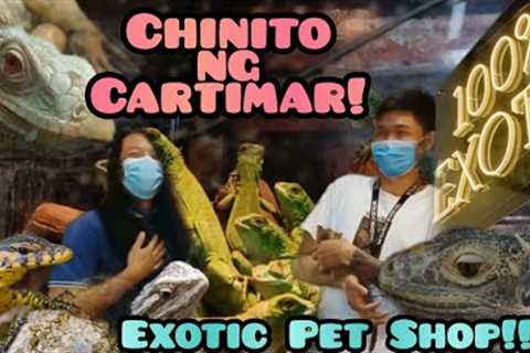 Bilihan ng Exotic animals Sa Cartimar! 2022 Price update! 100% exotics lang sakalam!