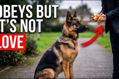 The Dog Training Mistake That Breaks Your Bond
