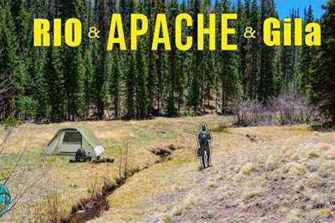 6 Days of Fly Fishing The Wilderness for Some of America's Rarest Trout!