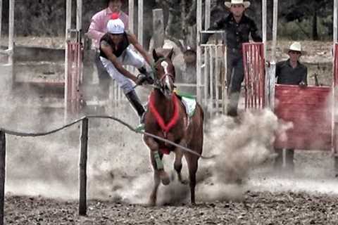 Accidente En Carreras De Caballos | Sierra De Durango Mex.