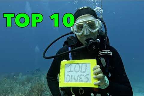 Top 10 St. Maarten Dive Sites / Part 1 - Week 11, 2025