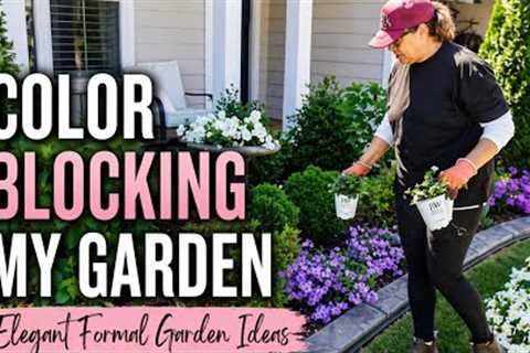 Color Blocking My Garden Beds 🌸| Elegant Formal Garden Design Ideas   4K