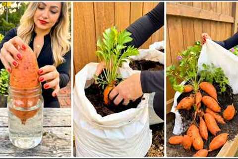 10+ DIY Garden Ideas for Growing Vegetables (Simple Home Gardening Tips)