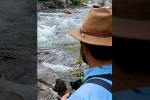 Overwhelmed by Fly Fishing Tips? Watch This!